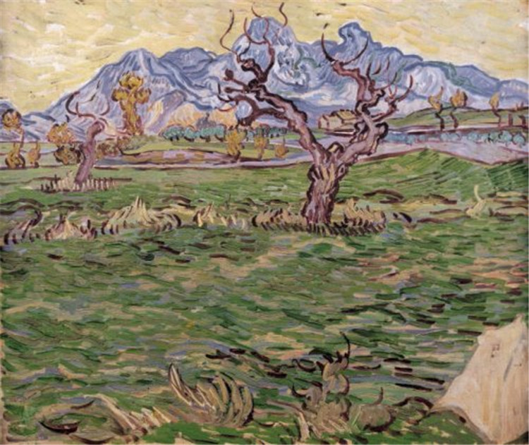 Landscape With Olive Tree And Mountains In The Background